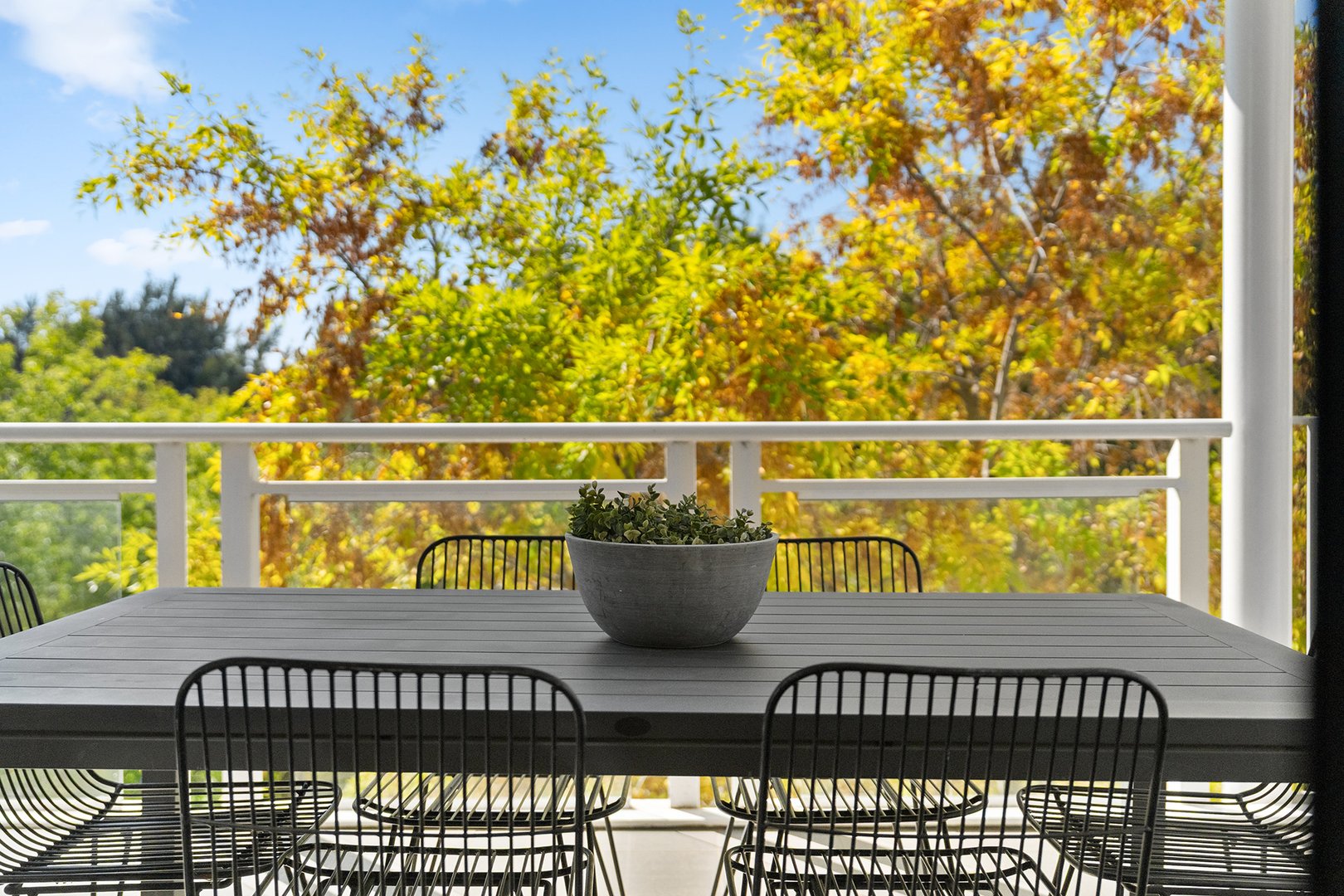 Balcony dining overlooking the trees of Norgrove Park
