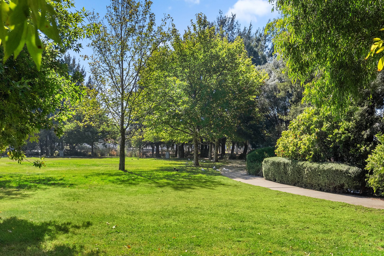 Leafy lawn and established trees in Norgrove Park